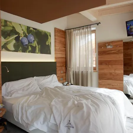 酒店 维特斯山区小屋酒店 4*