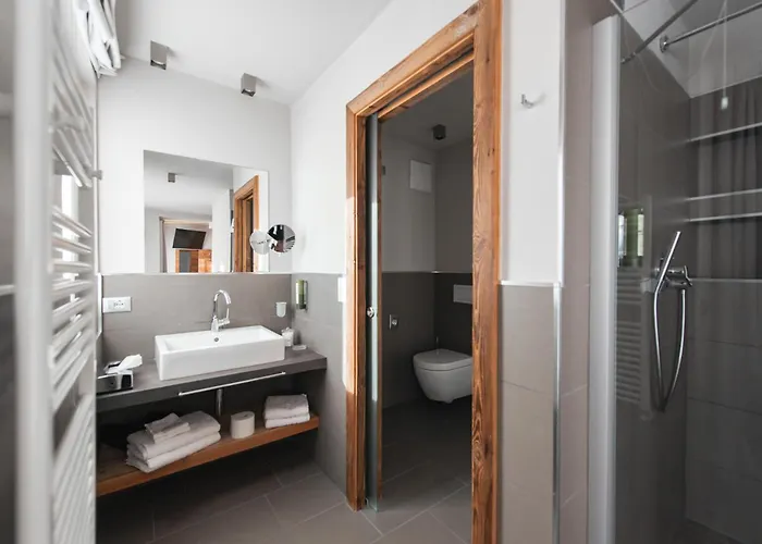 Hotel Vites Mountain 4*